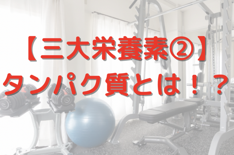 三大栄養素　タンパク質とは　ダイエット