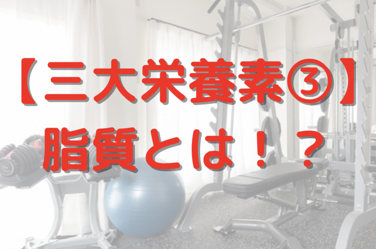 三大栄養素　脂質　